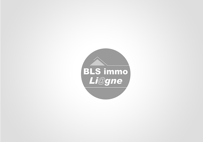 Opportunits dans l'immobilier neuf et perspectives pour l'investissement locatif Bls immo